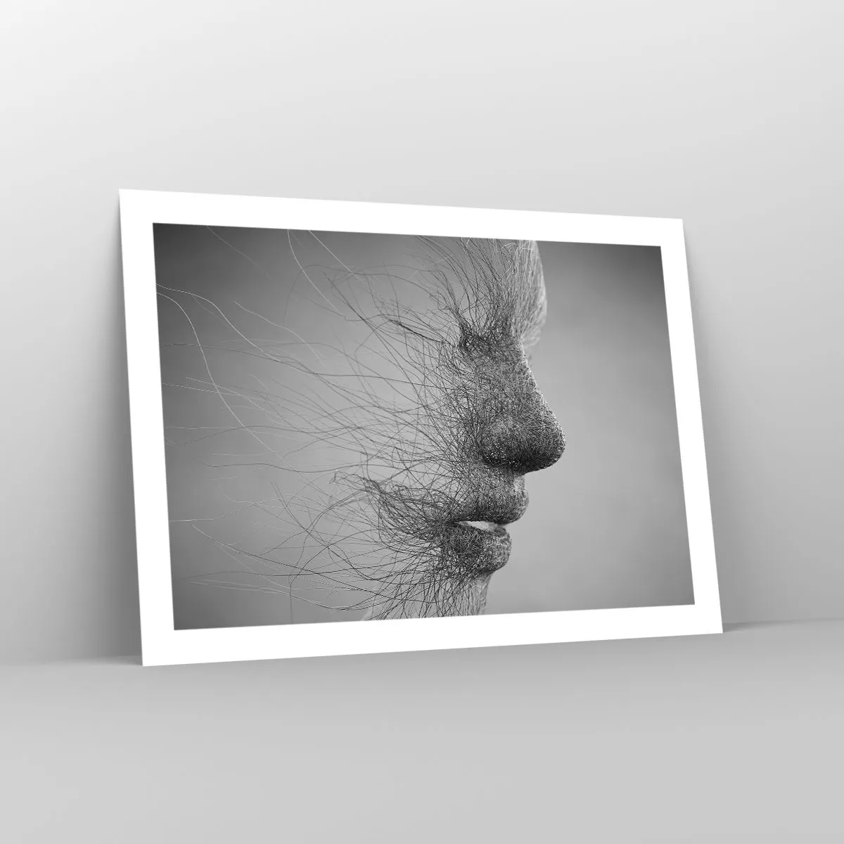 Affiche - Poster - L'esprit du vent - 70x50 cm