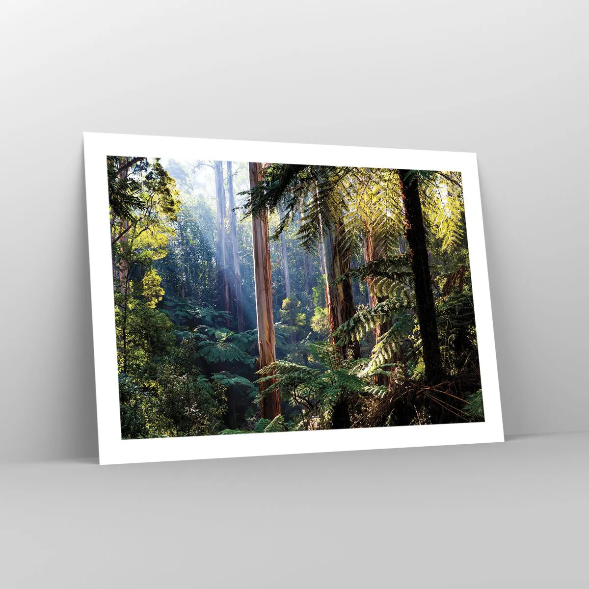 Plakát - Povídka lesa - 70x50 cm