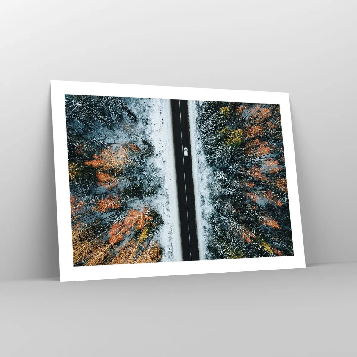 Affiche - Poster - Couper à travers la forêt d'hiver - 70x50 cm