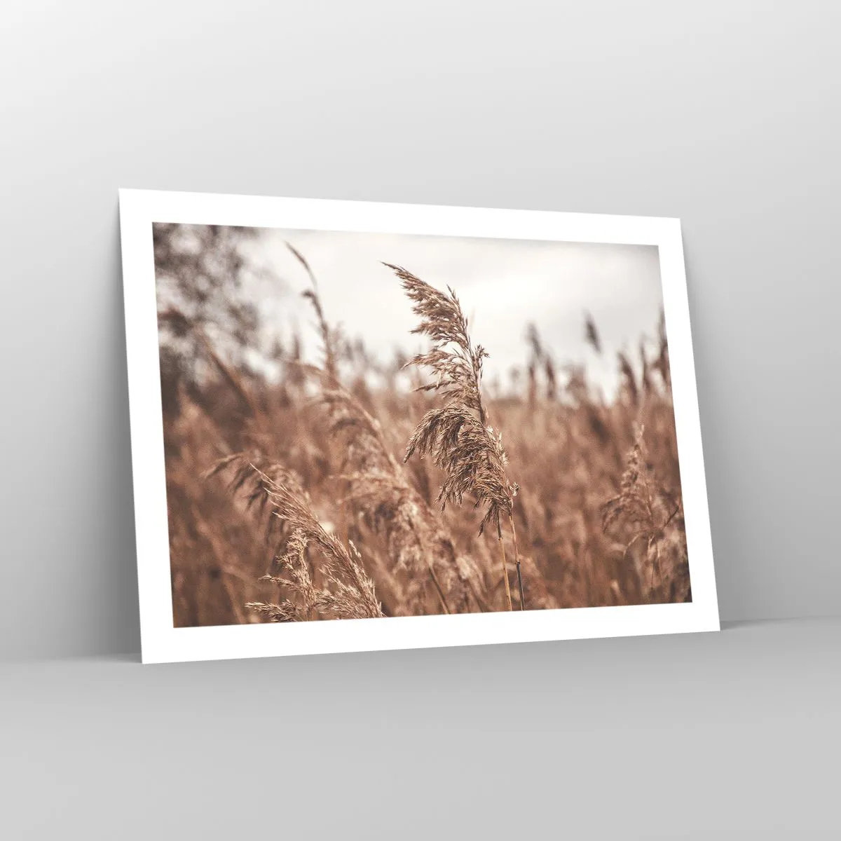 Affiche - Poster - C'est déjà l'automne dans les champs - 70x50 cm