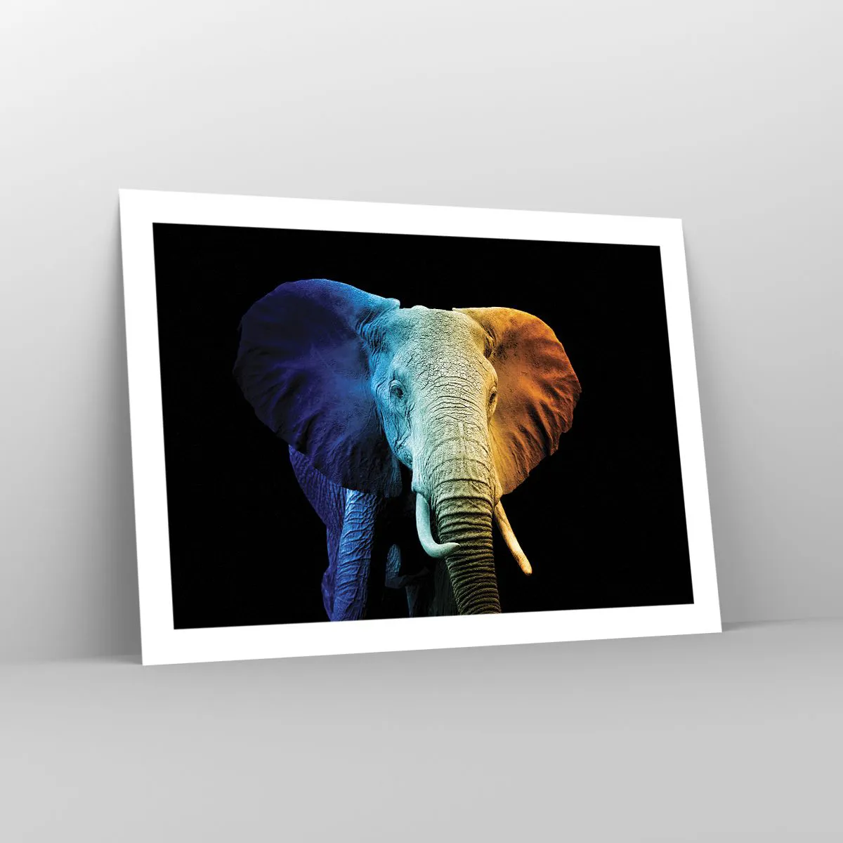 Poster - Eccentric, Not a Weirdo - 70x50 cm