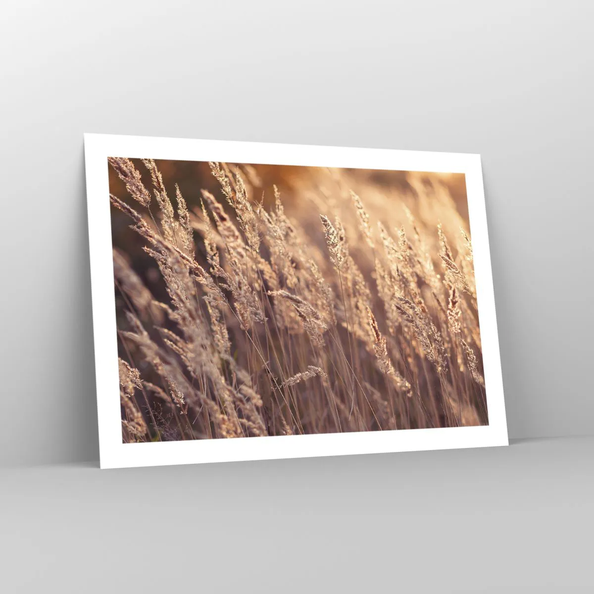 Plagát - Pripravení privítať jeseň - 70x50 cm