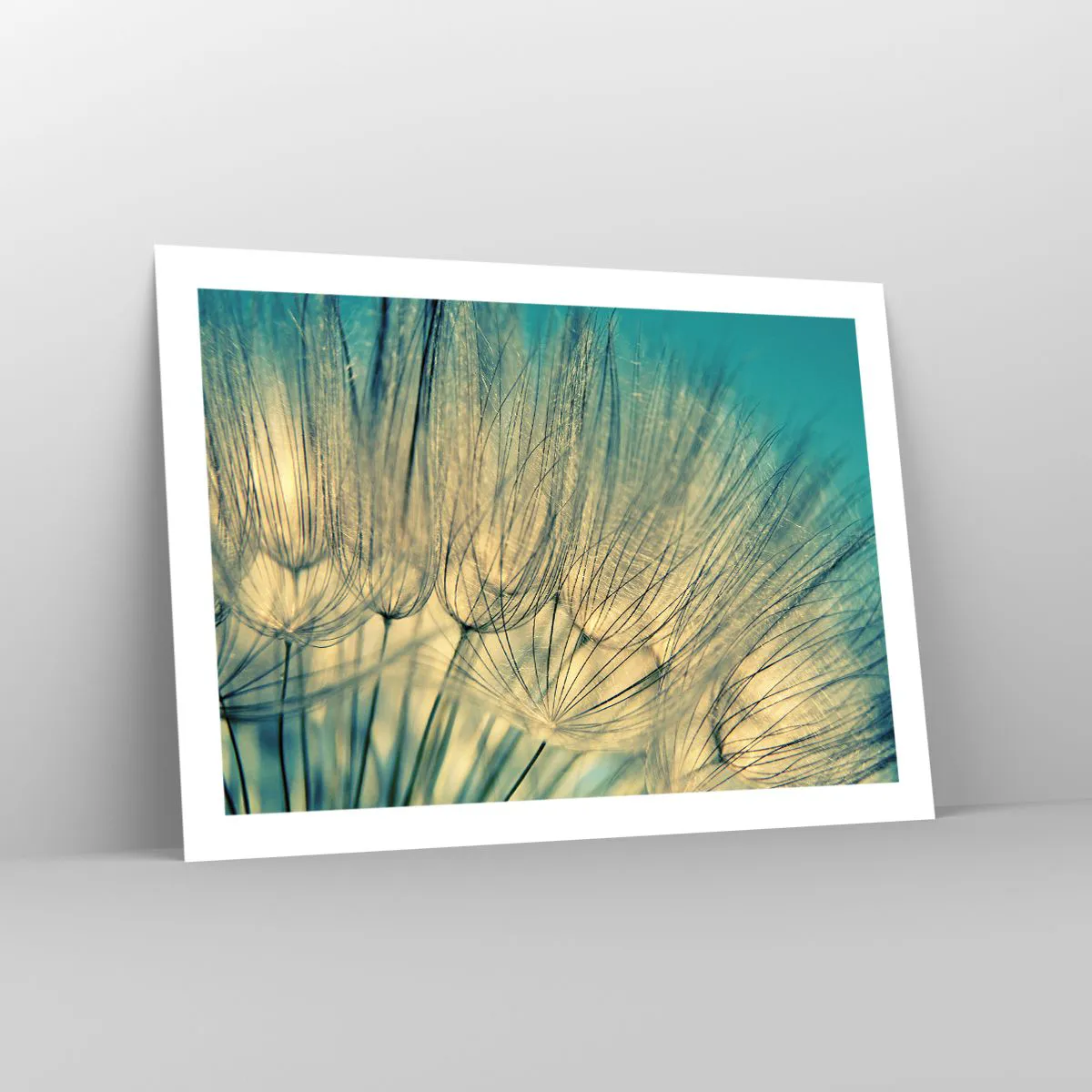 Pôster - À espera do vento - 70x50 cm