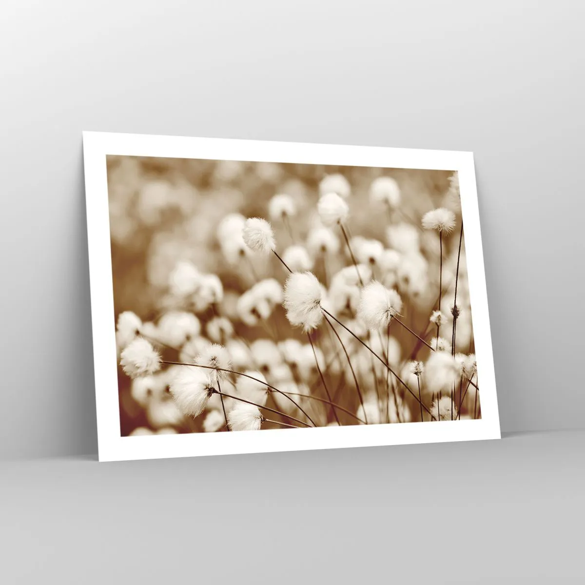 Plakát - Chlupatý lán - 70x50 cm