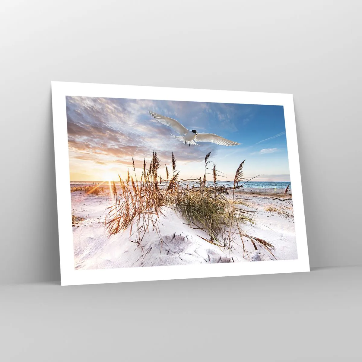 Poster - Wind from the Sea - 70x50 cm