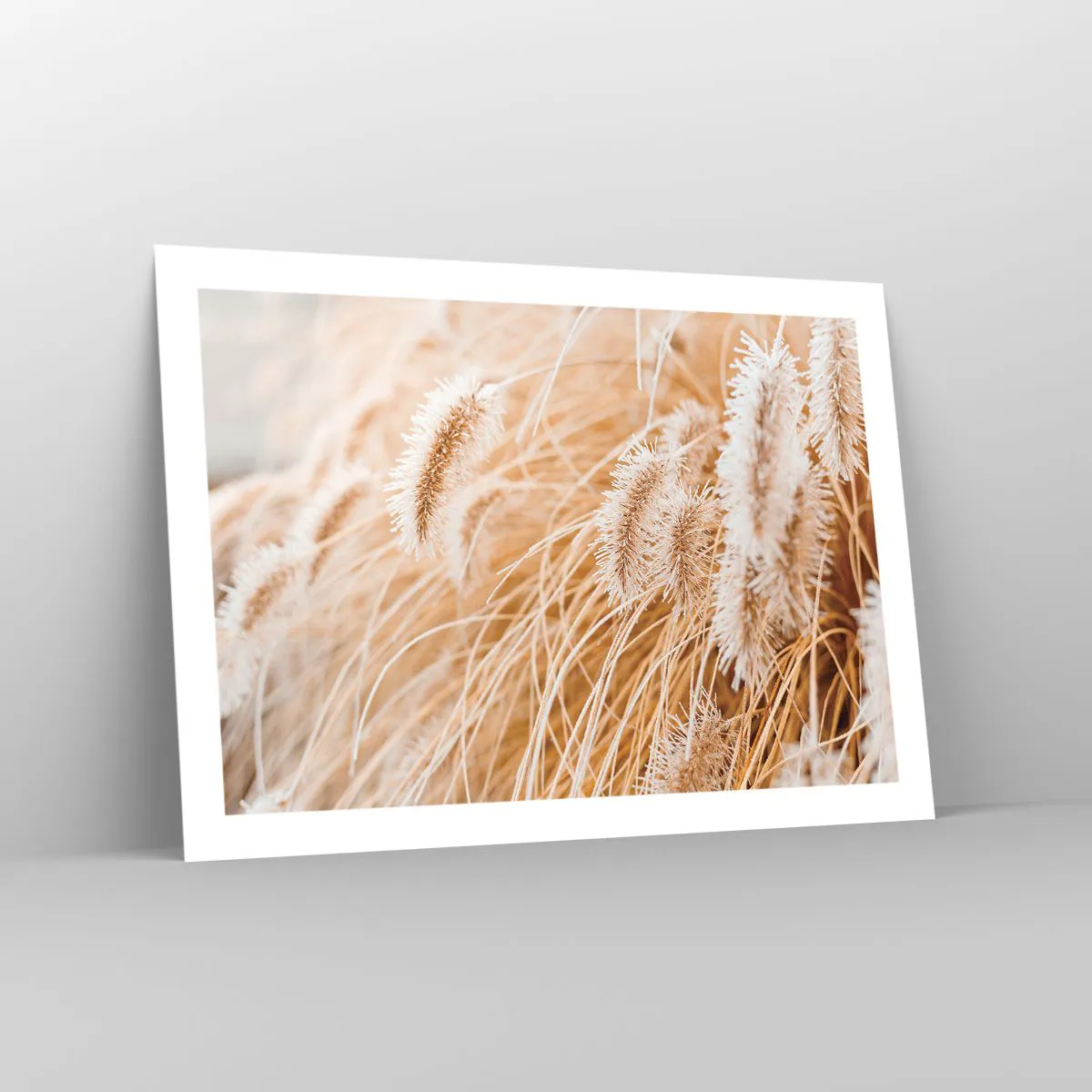 Affiche - Poster - Le bruissement doré de l'herbe - 70x50 cm
