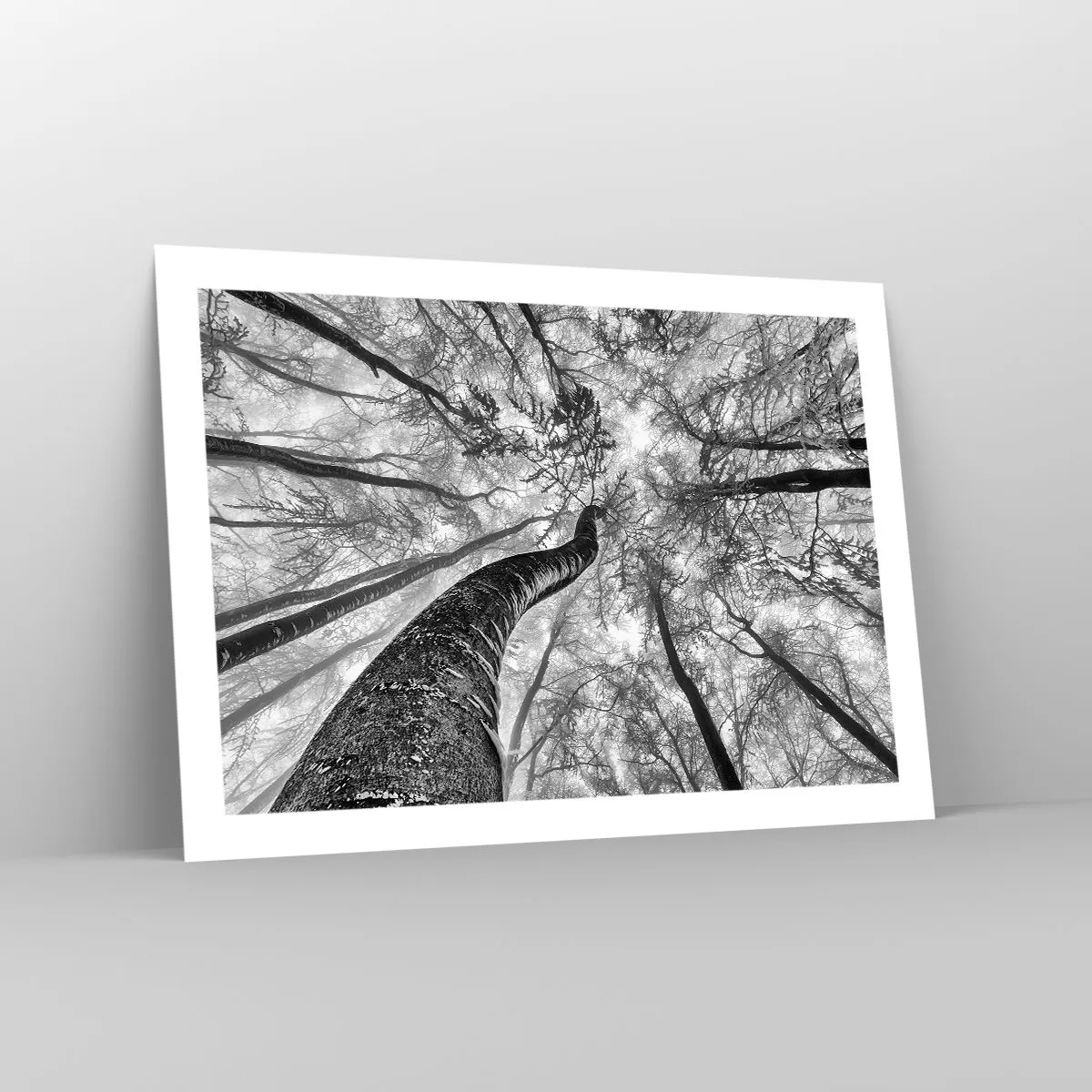 Poszter - Verseny a fény felé - 70x50 cm