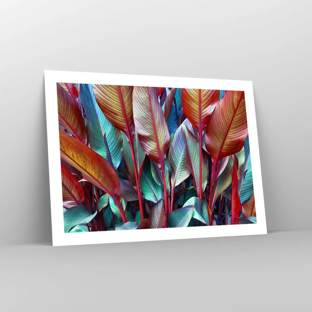 Poster - Selva colorata - 70x50 cm
