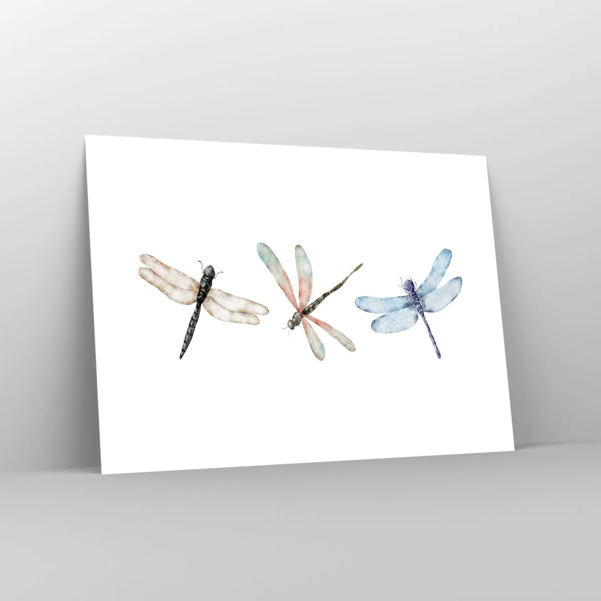 Poszter - Súlytalan szitakötők - 70x50 cm