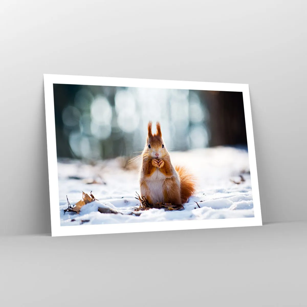 Plakat - Og hvad kigger du på? - 91x61 cm