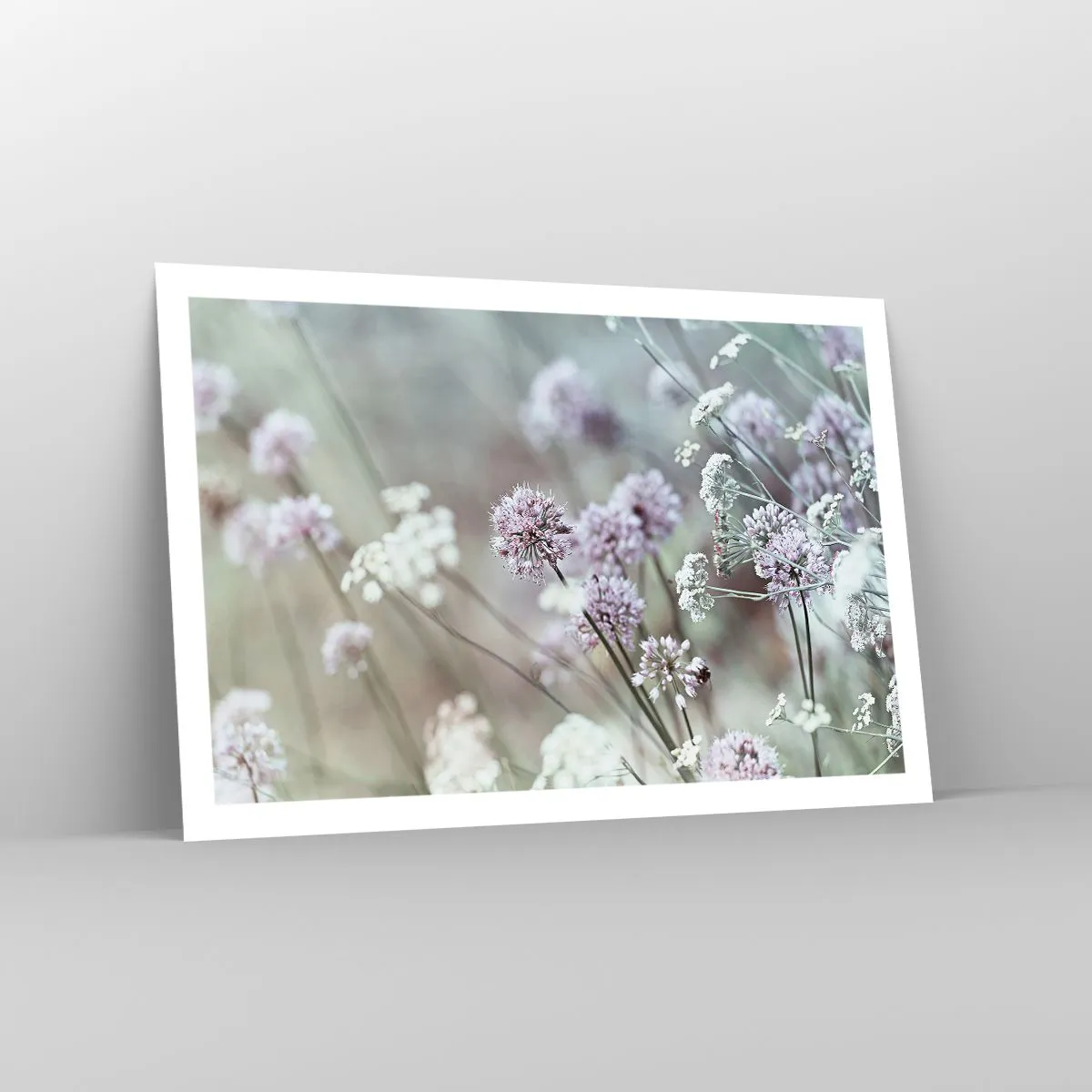 Póster - Dulces filigranas de hierbas - 91x61 cm