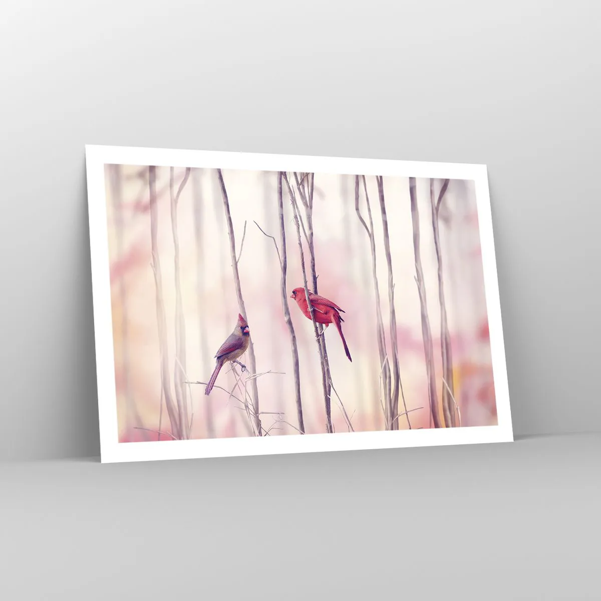 Plakat - Fortællingen om den lyserøde skov - 91x61 cm