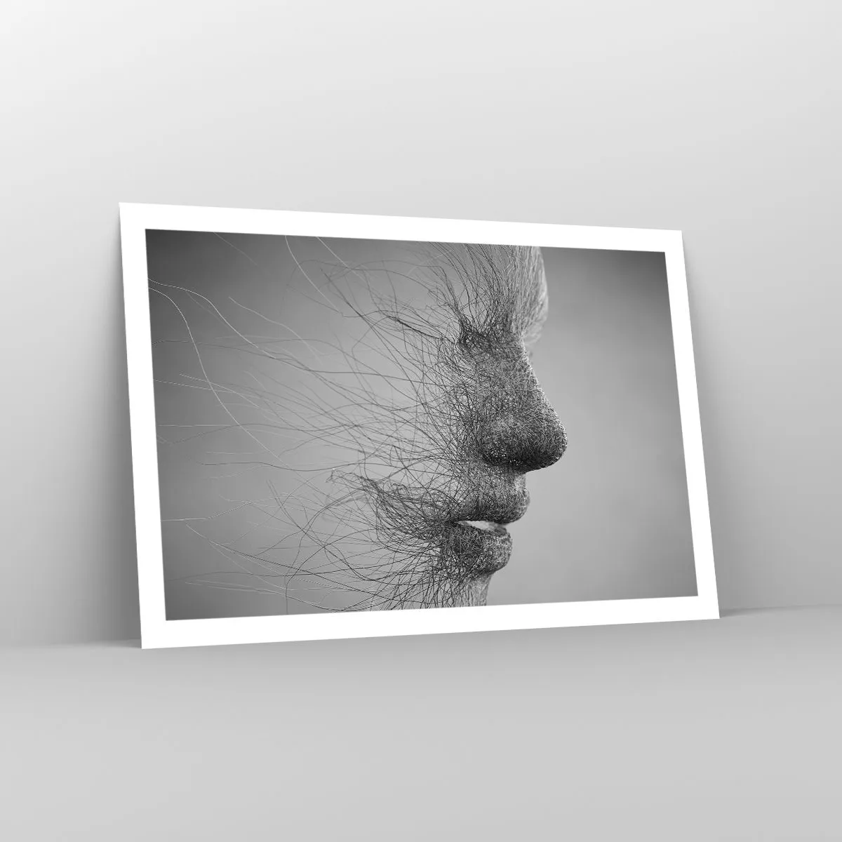 Affiche - Poster - L'esprit du vent - 91x61 cm