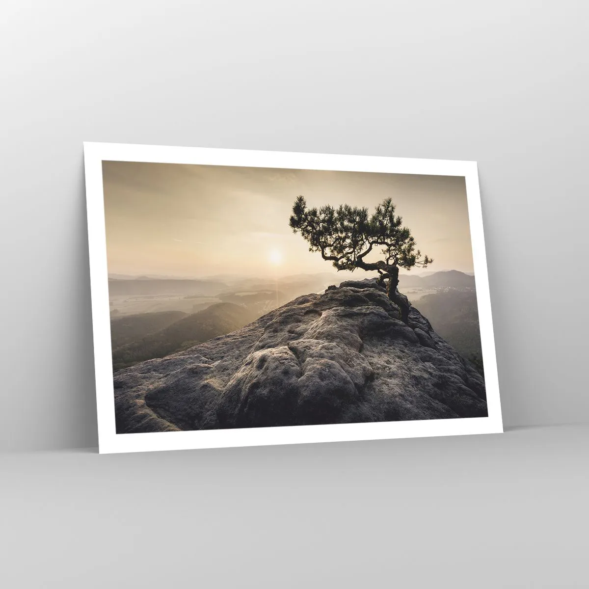 Poster - Viața învinge întotdeauna - 91x61 cm