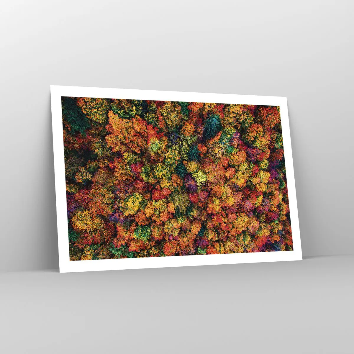 Plakát - Kytice podzimních stromů - 91x61 cm