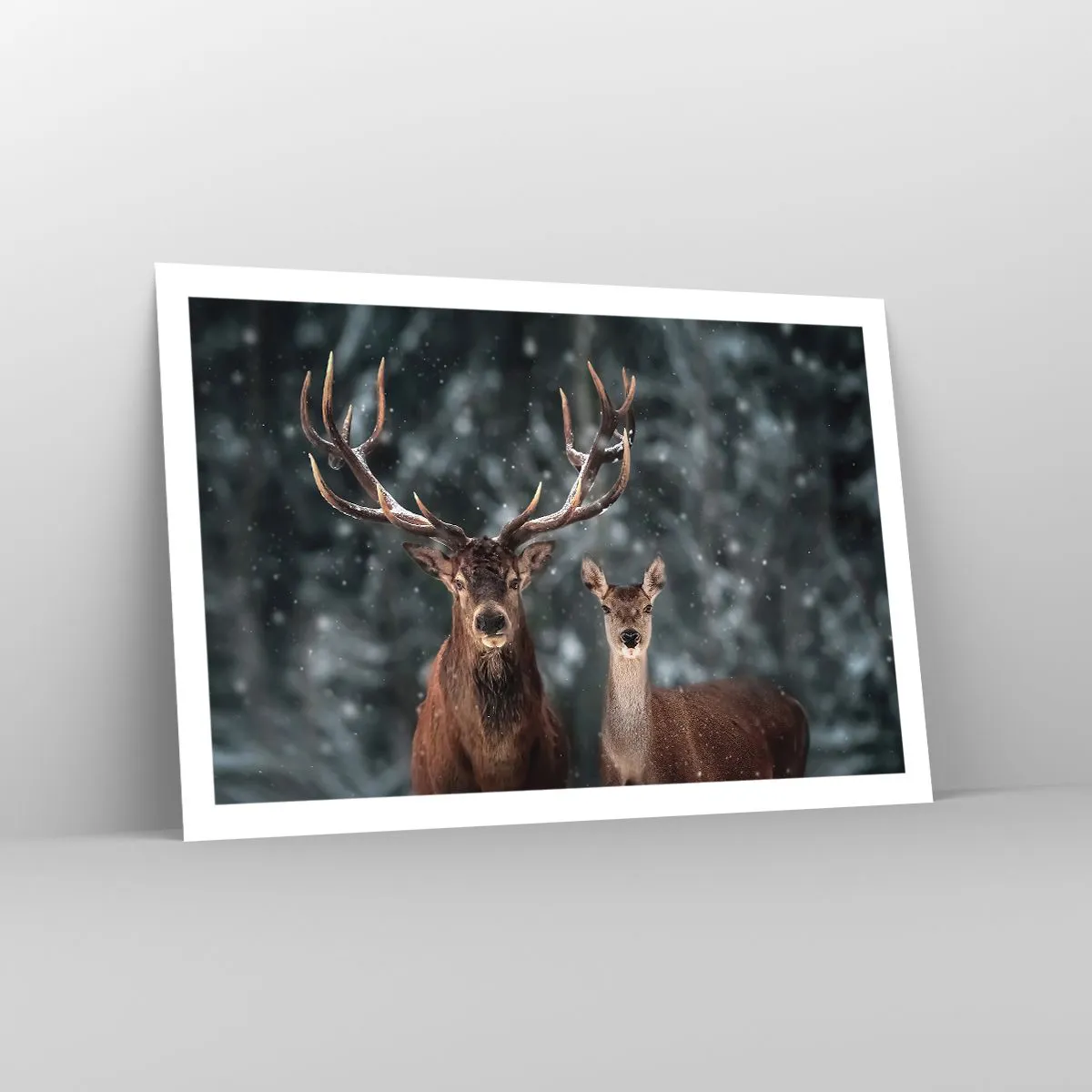 Poszter - Az erdő ura a feleségével - 91x61 cm