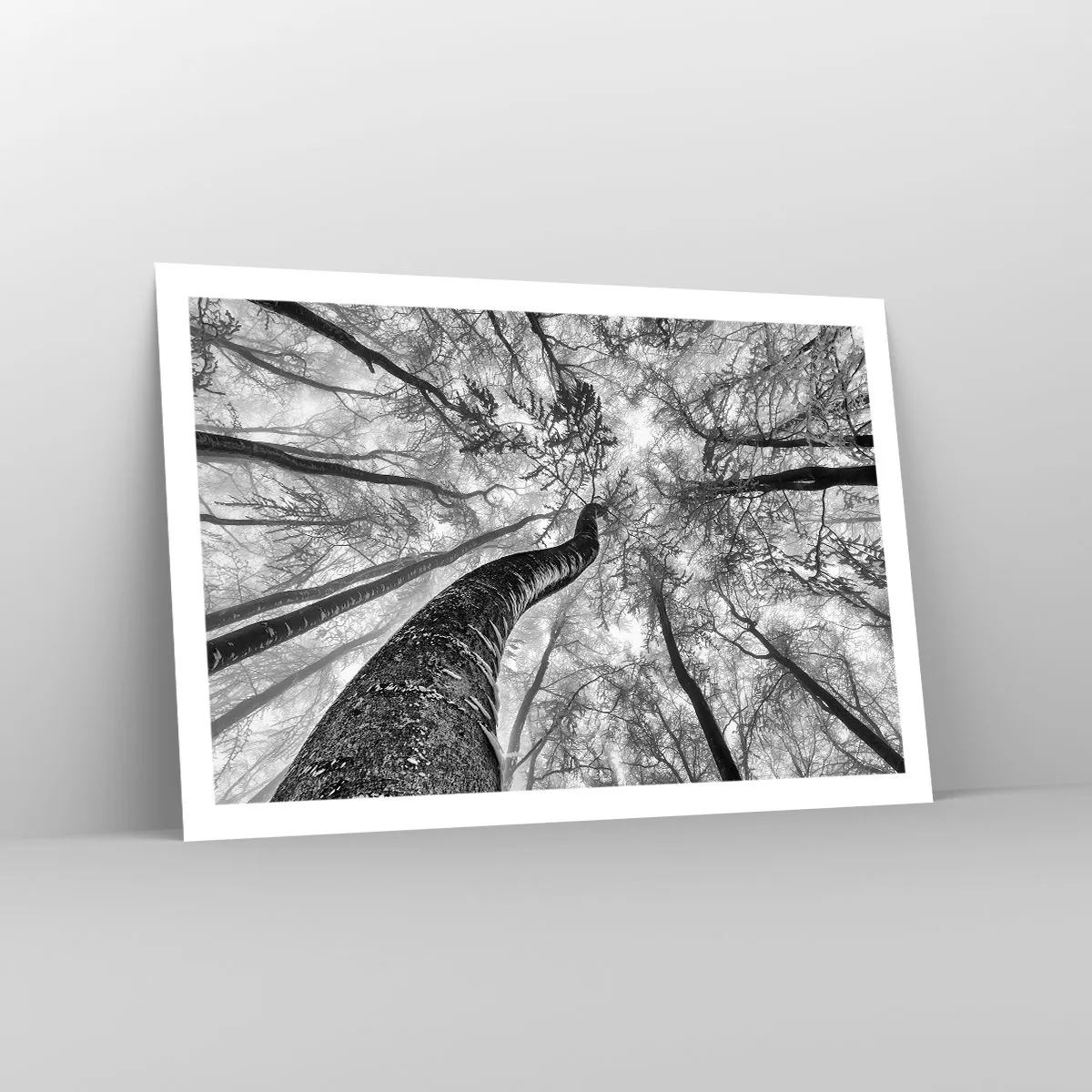 Poster - Race for the Light - 91x61 cm