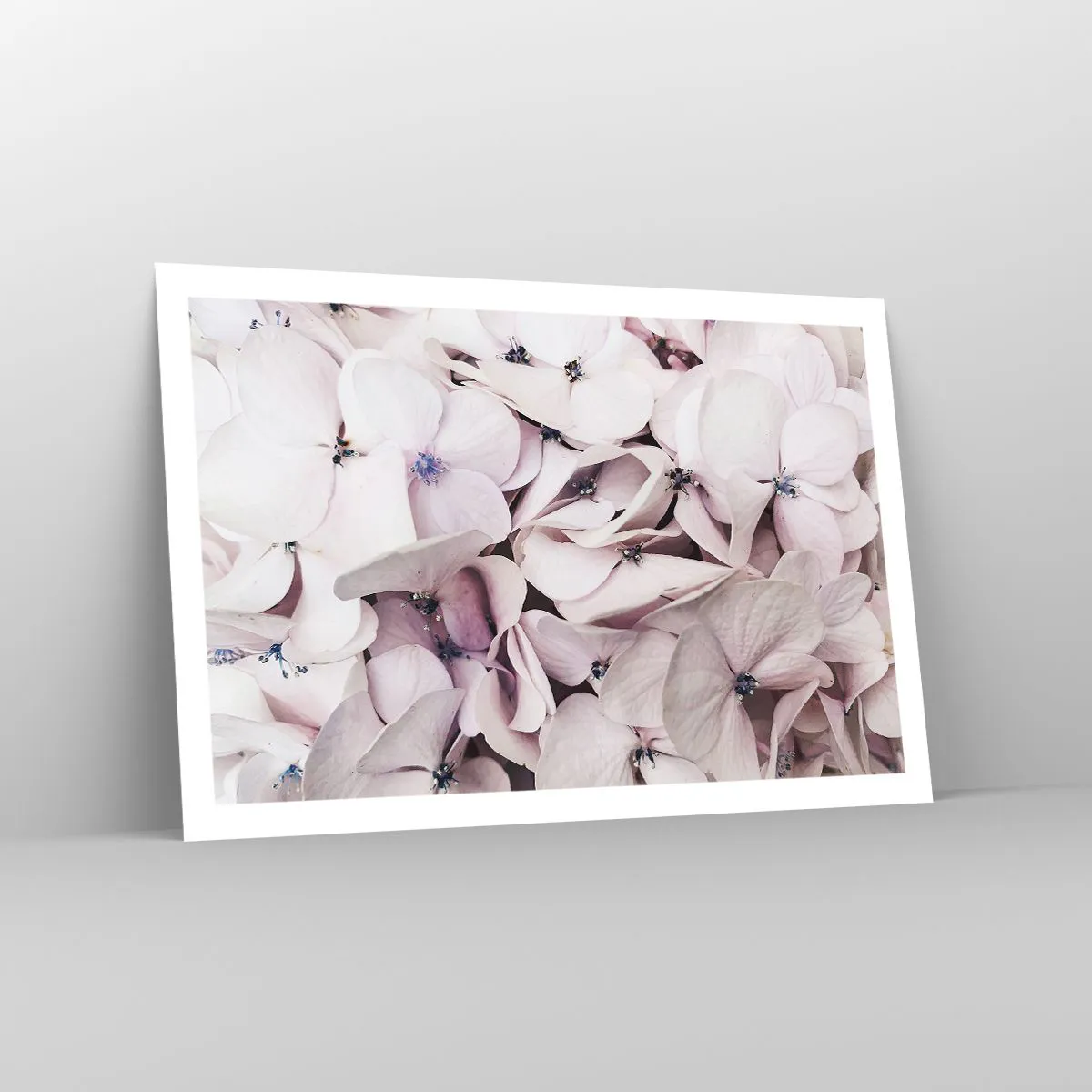 Poszter - A virágok áradatában - 91x61 cm