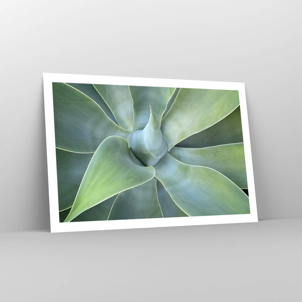 Póster - El nacimiento del verde - 91x61 cm