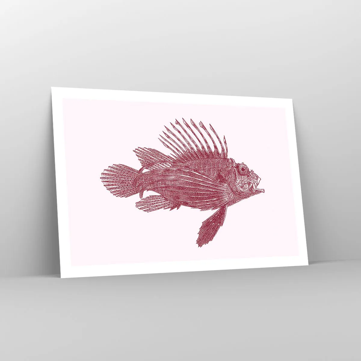 Plakat - En beboer i eksotiske farvande - 91x61 cm