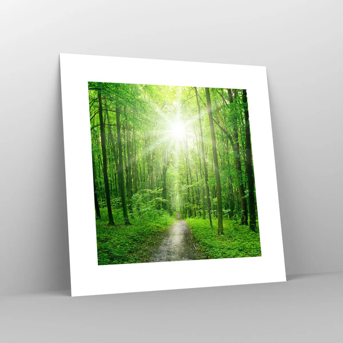 Póster - Catedral verde - 30x30 cm