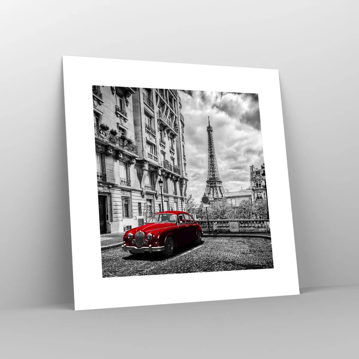 Plakát - Dravec ve městě - 30x30 cm