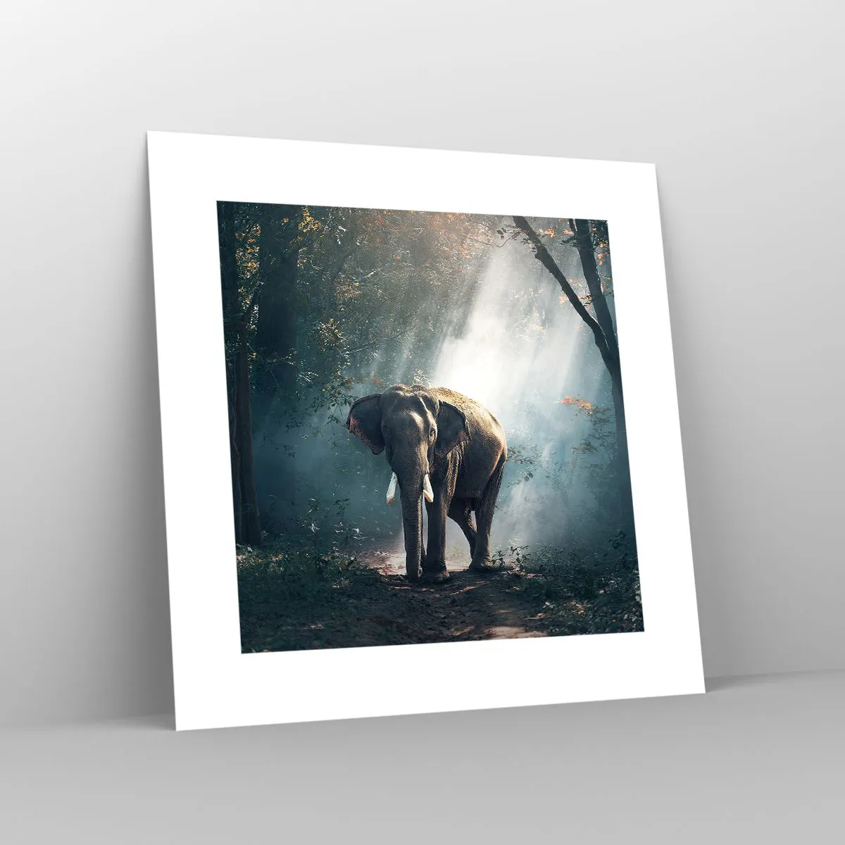 Poster - Quiet Stroll - 30x30 cm