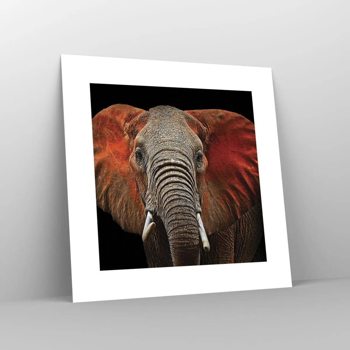 Affiche - Poster - Je suis sauvage, et toi? - 30x30 cm