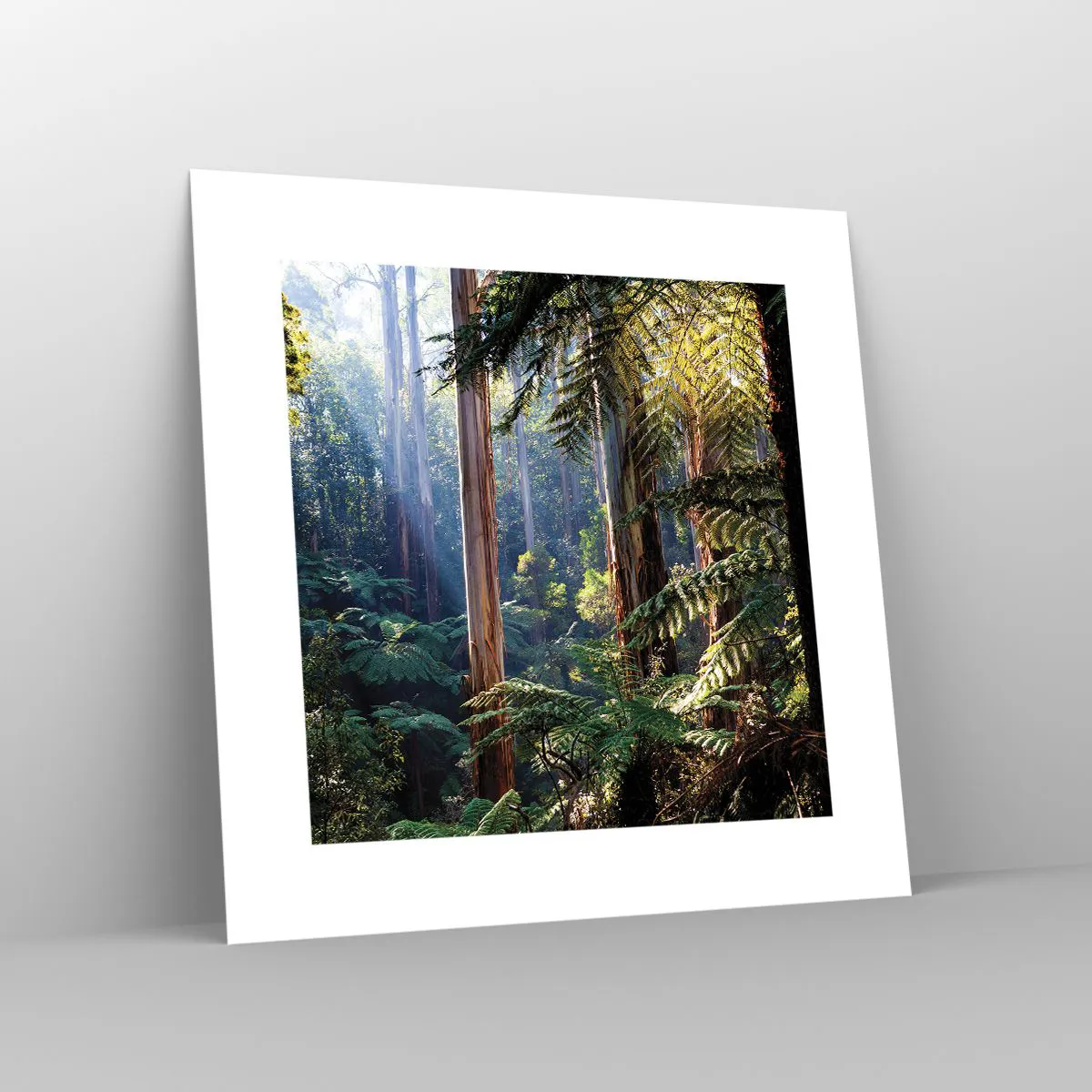 Plakat - Baśń lasu - 30x30 cm