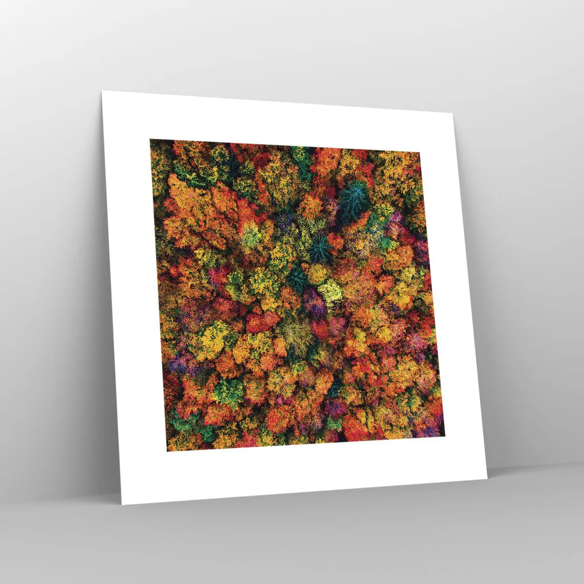 Plakat - Buket af efterårstræer - 30x30 cm