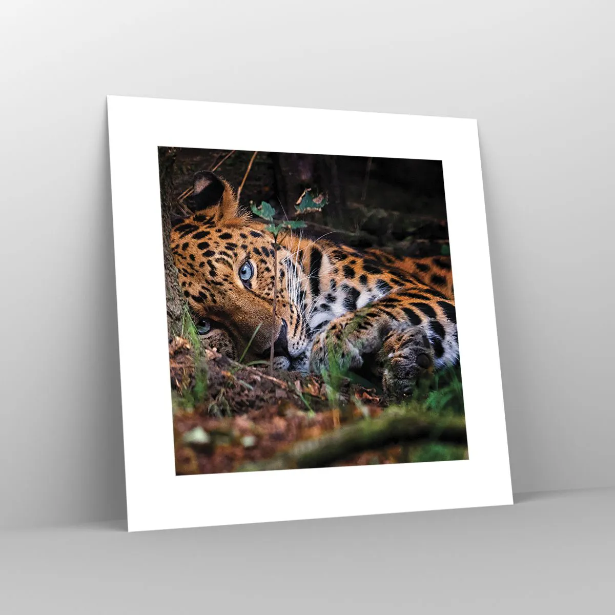 Poster - Geloof me - 30x30 cm