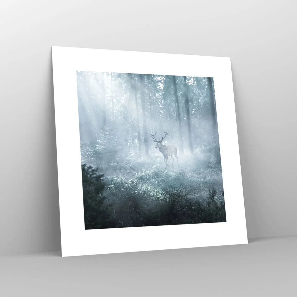 Póster - Ronda matutina por la finca - 30x30 cm