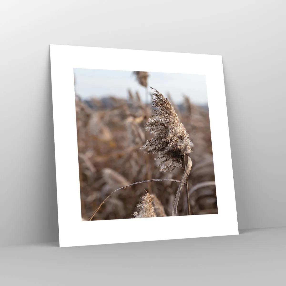 Poszter - Ideje elrepülni a széllel - 30x30 cm