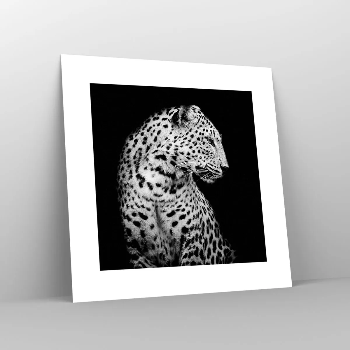 Affiche - Poster - Presque un profil parfait! - 30x30 cm