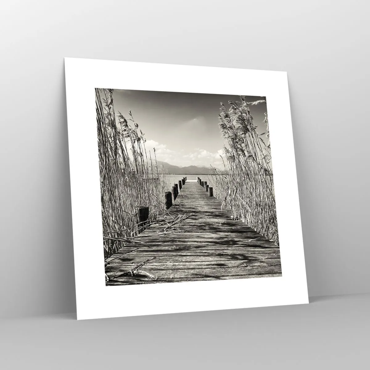 Affiche - Poster - Dans le calme de l'herbe - 30x30 cm