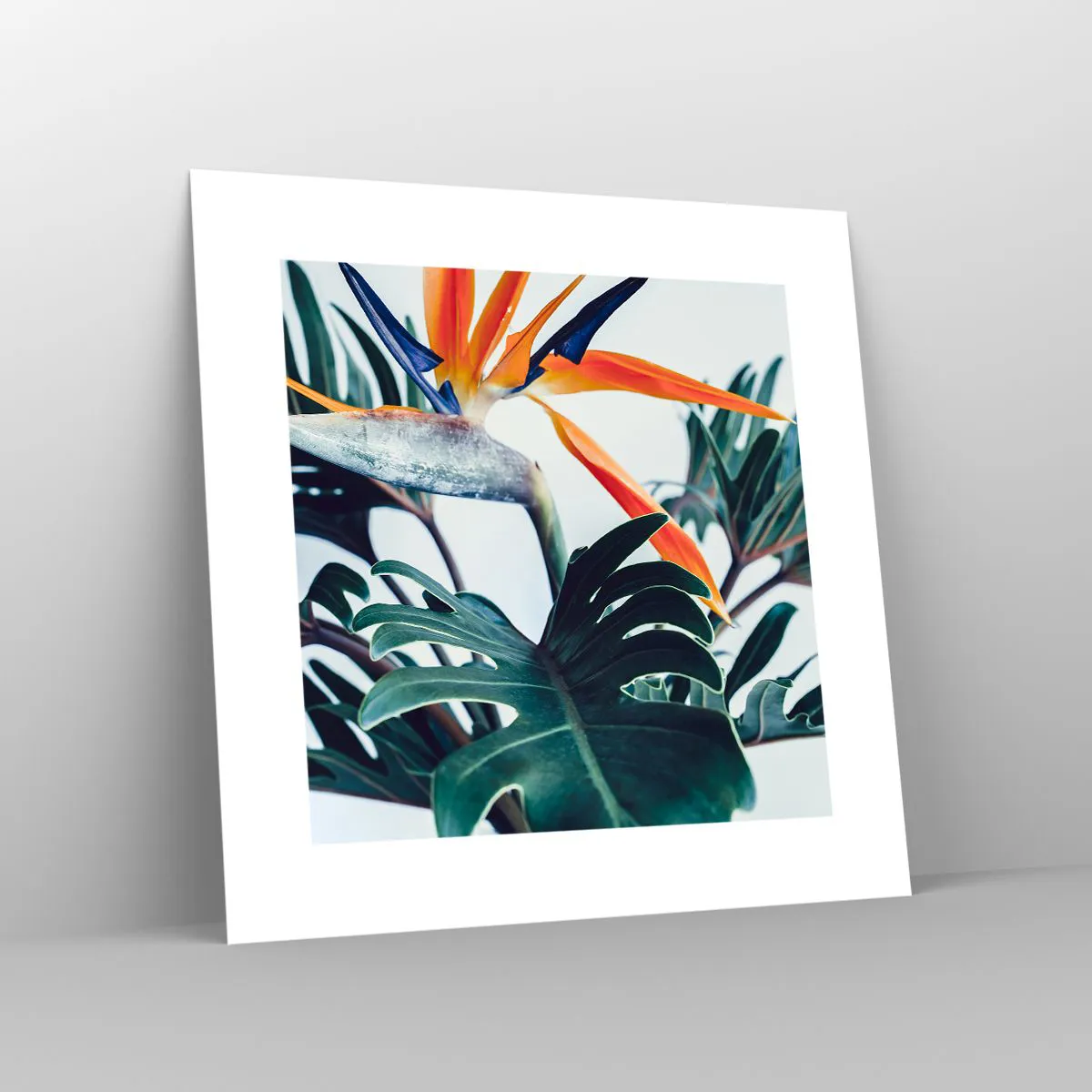 Pôster - Arbusto de passarinho - 30x30 cm