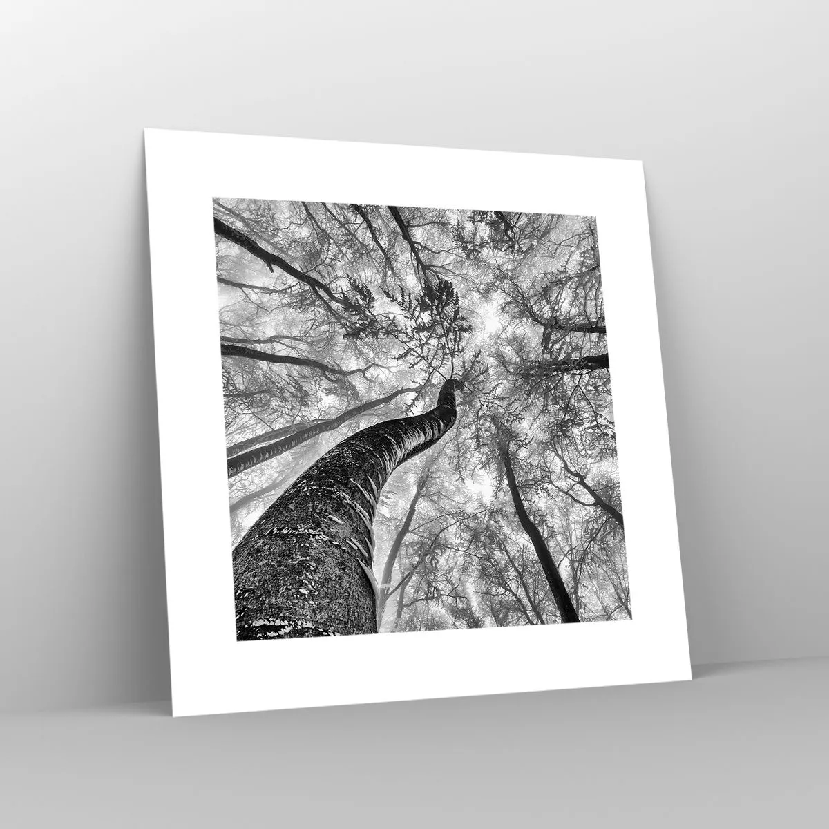 Plakat - Kapløb mod lyset - 30x30 cm