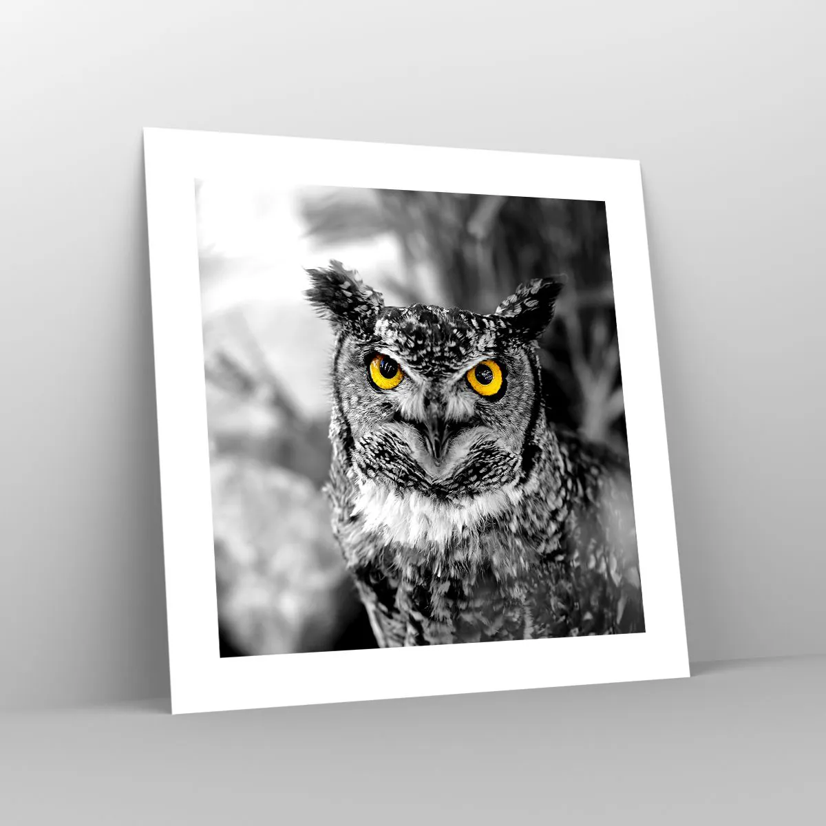 Affiche - Poster - Rien ne se cachera - 40x40 cm