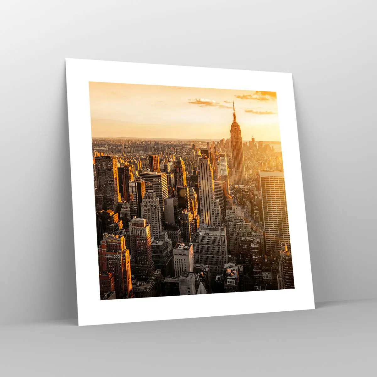 Plagát - Rast na slnku - 40x40 cm