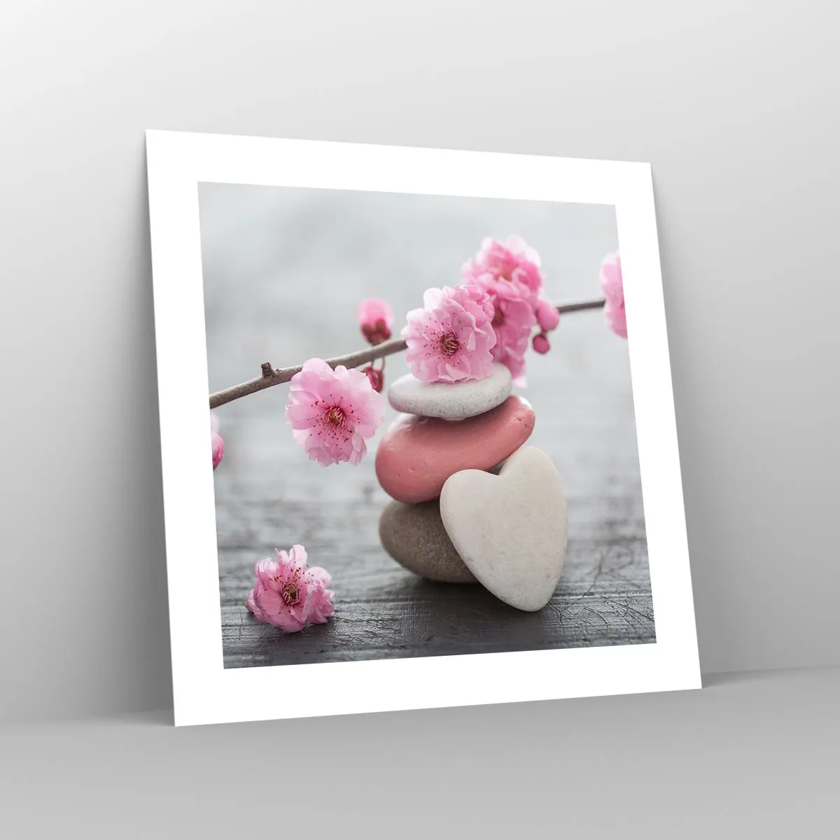 Poster - Serenità con fiori di ciliegio - 40x40 cm