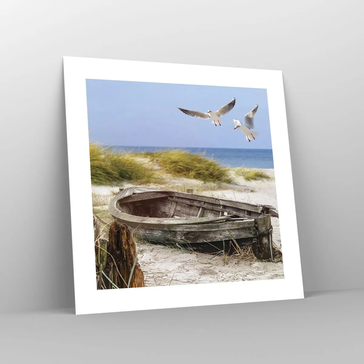 Poszter - Szélben fürödve - 40x40 cm