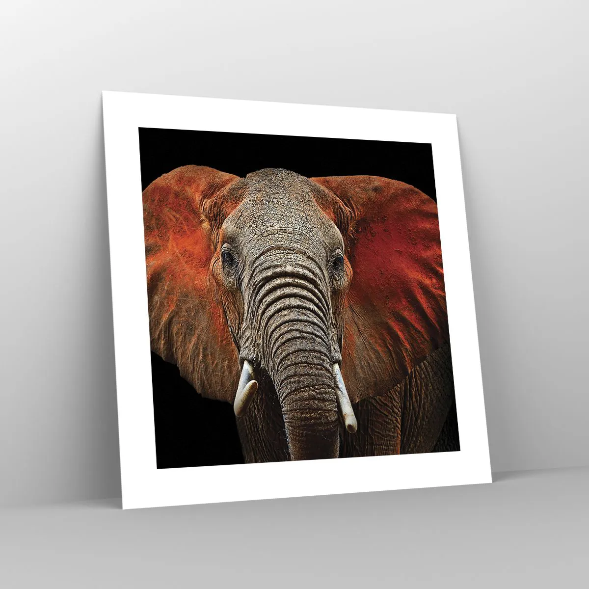 Poster - I am Wild, and You? - 40x40 cm