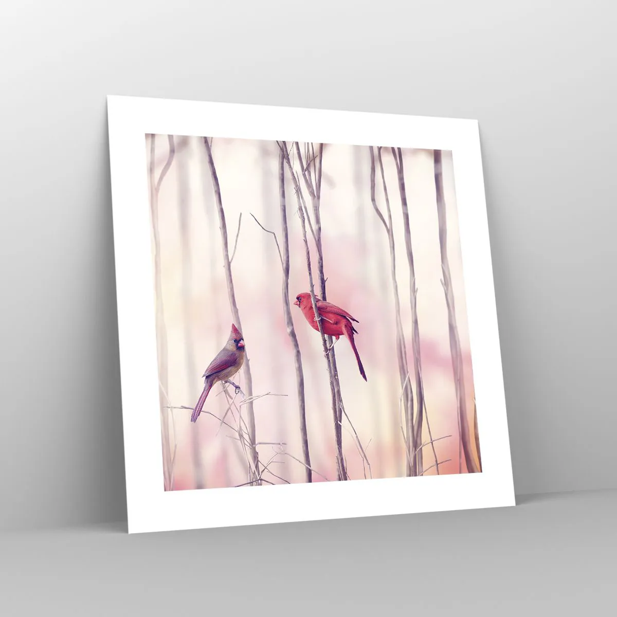 Poszter - Rózsaszín erdő története - 40x40 cm