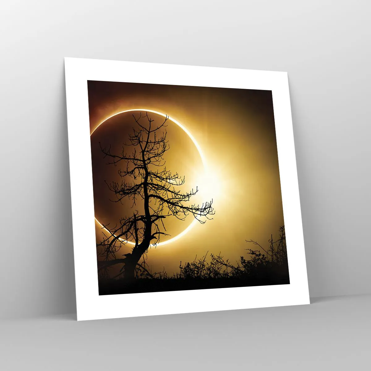 Plakat - Total formørkelse - 40x40 cm