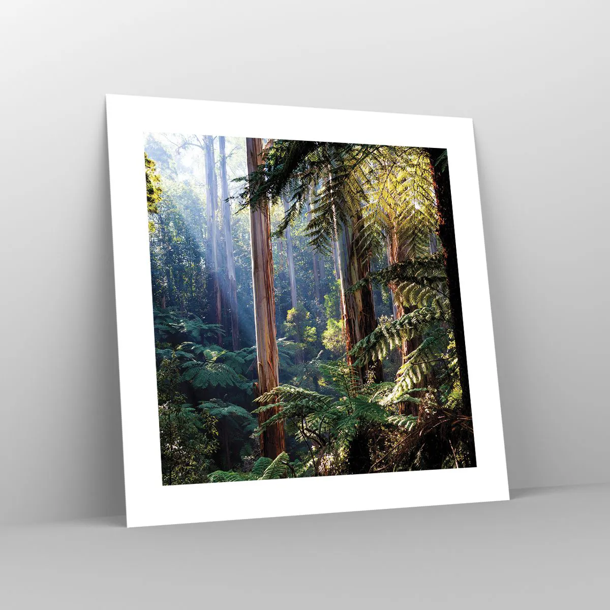 Plakát - Povídka lesa - 40x40 cm