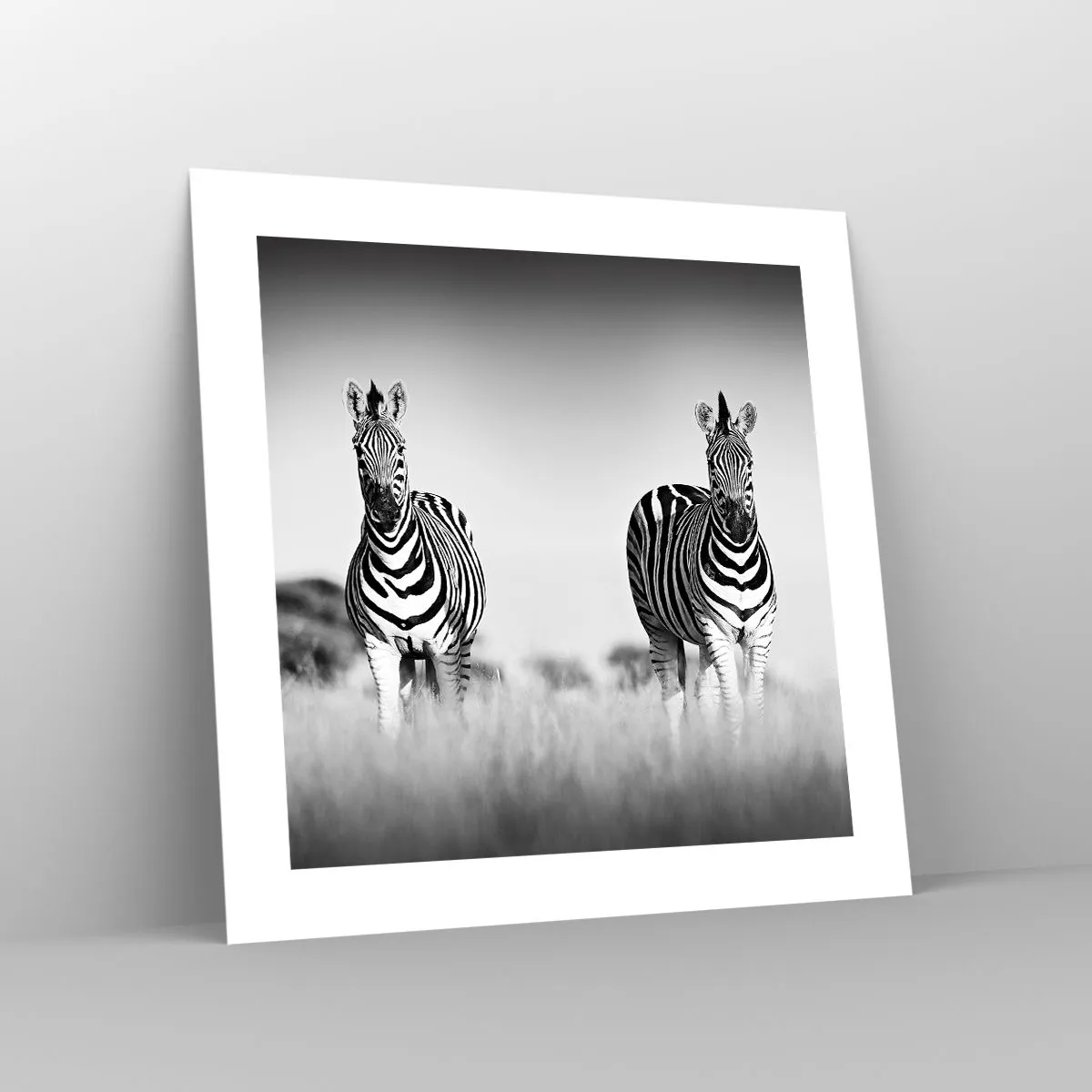 Plakat - Og alligevel er verden sort og hvid - 40x40 cm