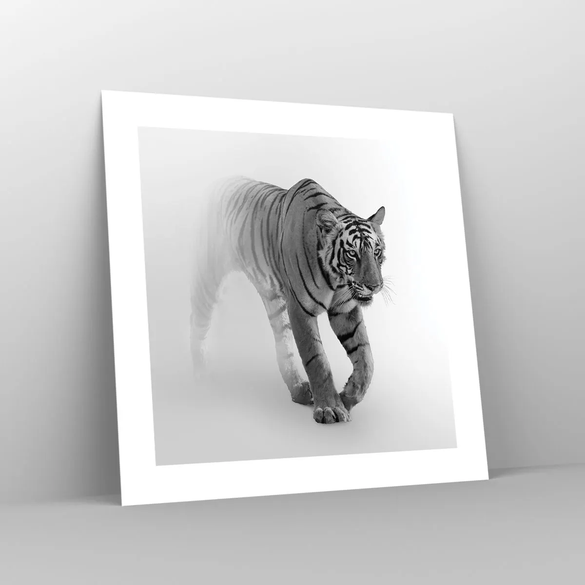 Poster - Crouching in Fog - 40x40 cm