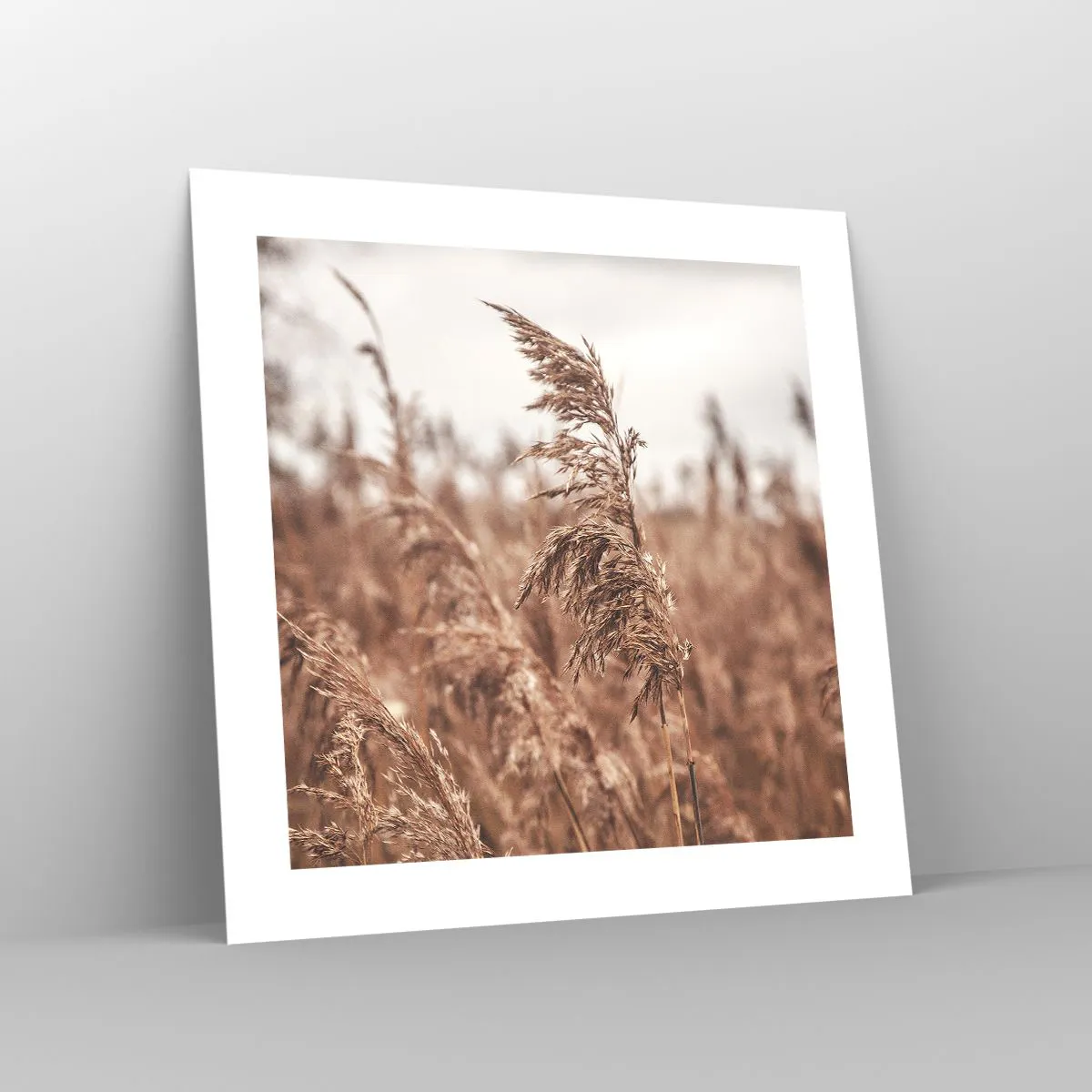 Plakát - Na polích už je podzim - 40x40 cm