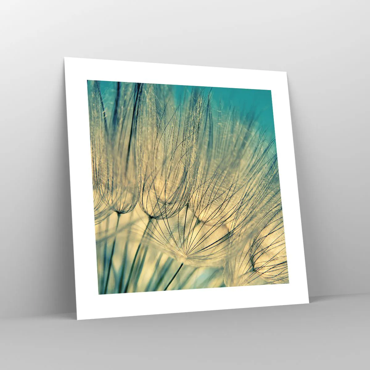 Plagát - Čakanie na vietor - 40x40 cm