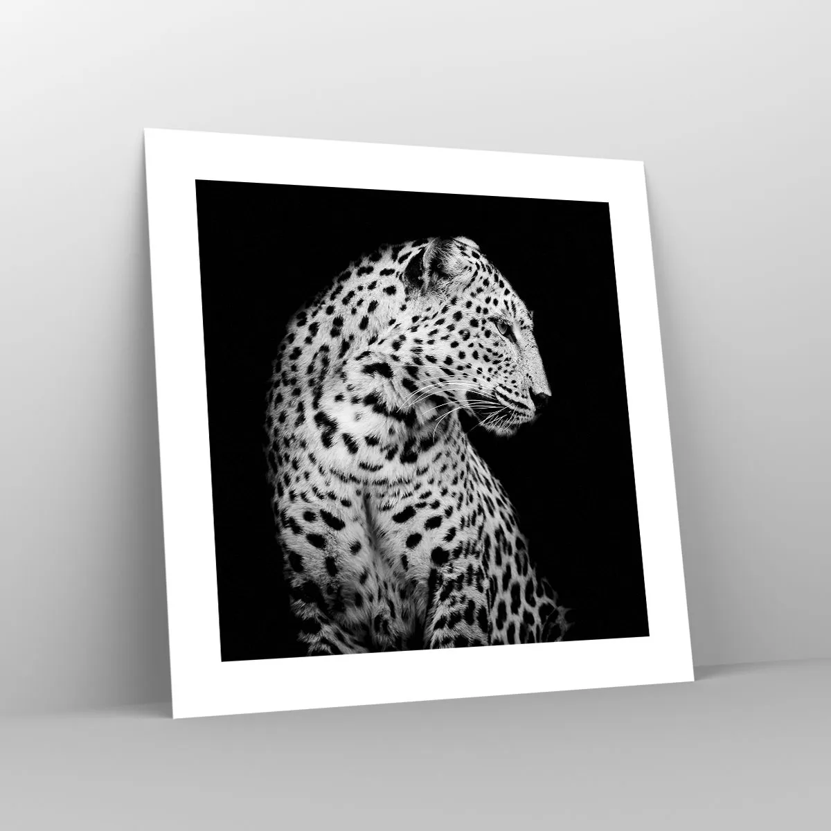 Affisch - Perfekt höger profil! - 40x40 cm